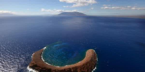 丰润区洱海海菜特色菜品